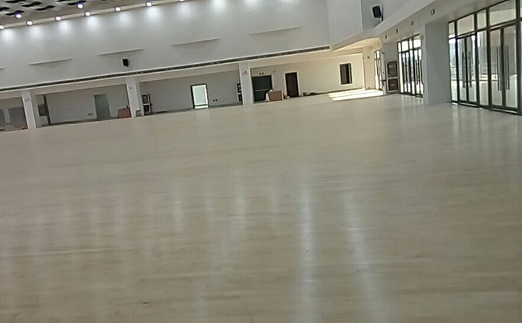 硬木企口羽毛球館木地板哪個牌子好?