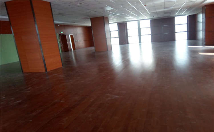 籃球場木地板配色