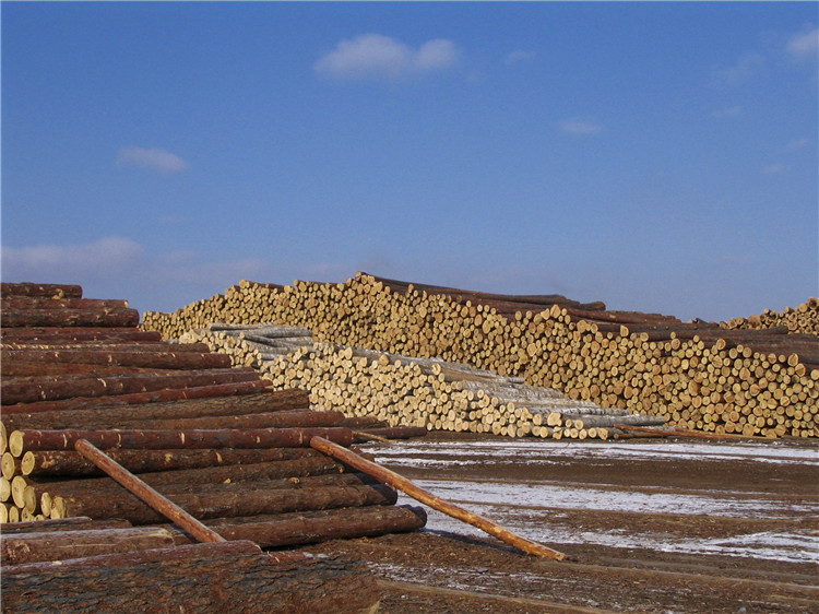 實木運(yùn)動地板工廠