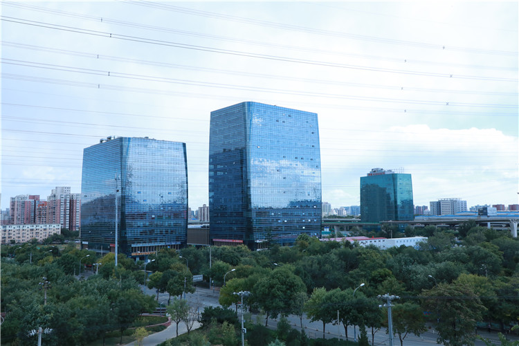 實木運(yùn)動地板施工團(tuán)隊